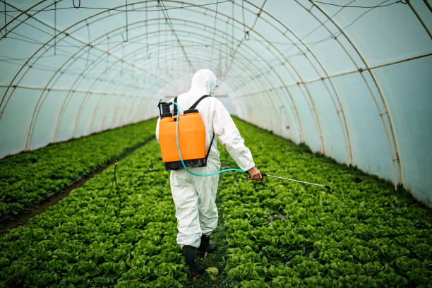 Best Residential Pest Control  in South Point, OH
