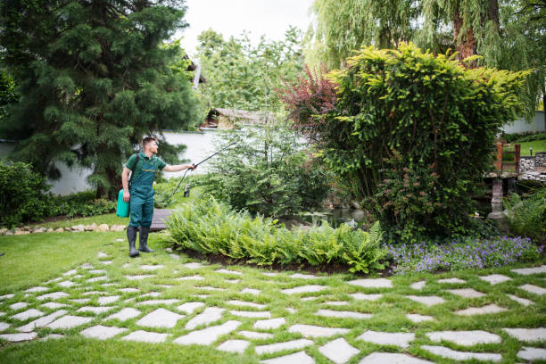 Wasp Removal Services in South Point, OH