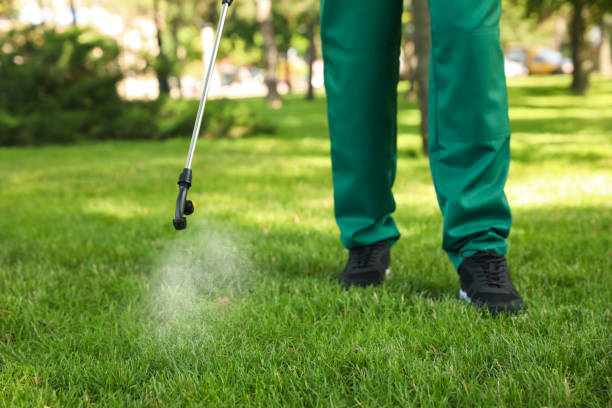 Best Affordable Pest Control Services  in South Point, OH
