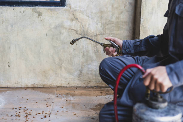 Best Termite Control Services  in South Point, OH