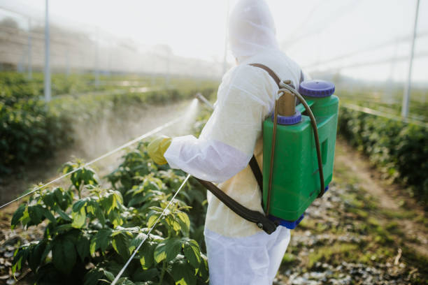 Best Best Pest Control Companies  in South Point, OH